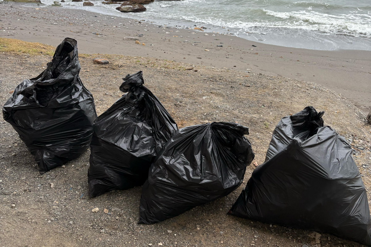 Jornada de limpieza de plásticos en varias playas de Ceuta / Cedida