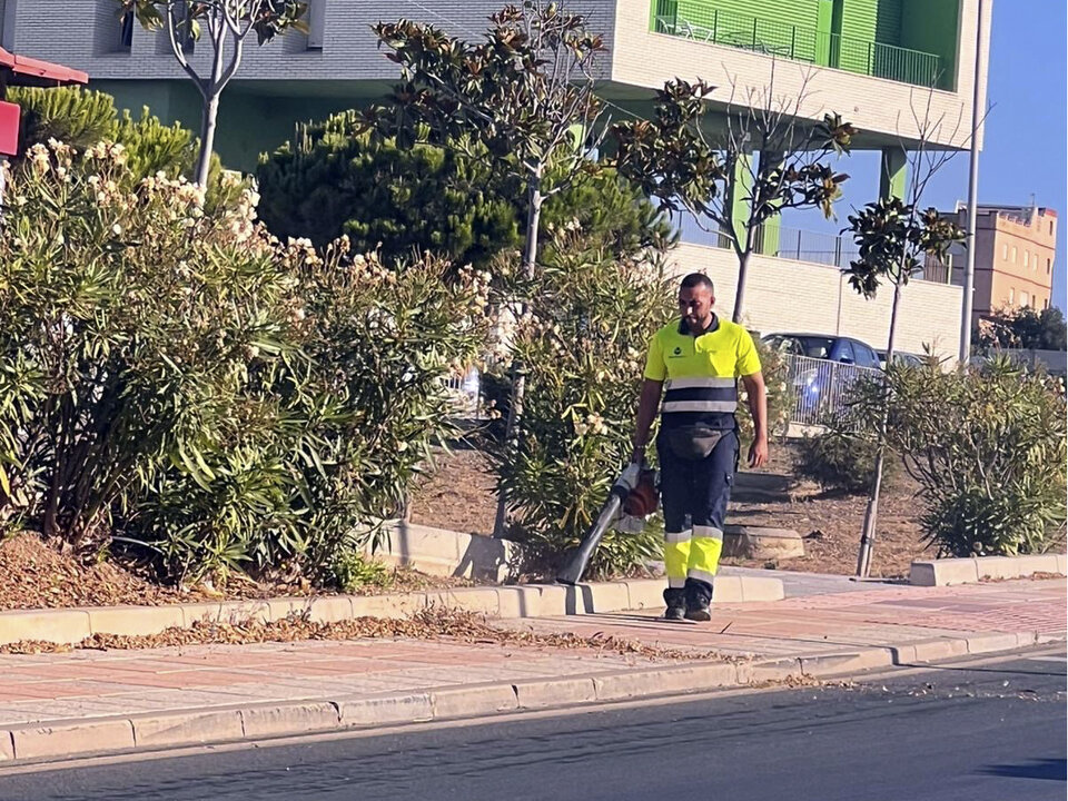 Limpieza en Loma Colmenar