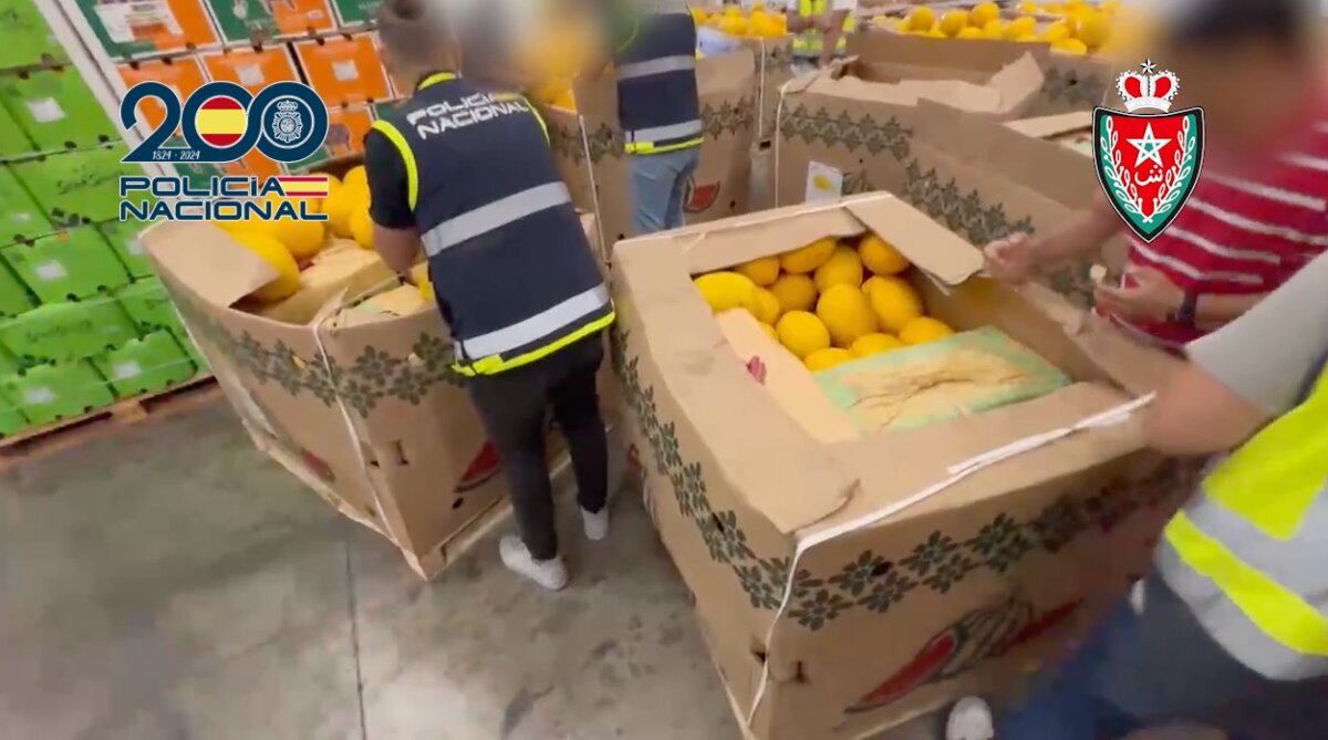 Droga oculta entre melones / Policía Nacional