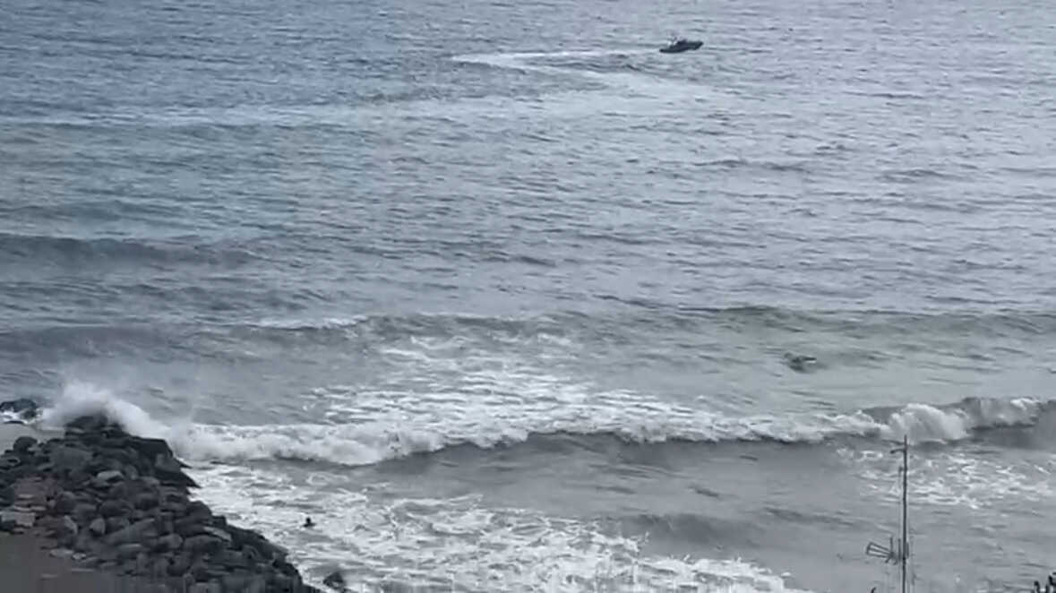 Nueva entrada por mar / Alma Palomino