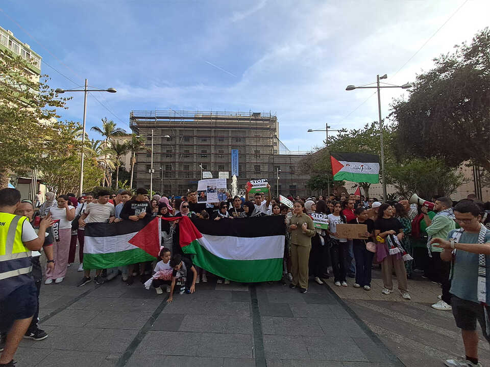 Marcha de estudiantes por Palestina / César Martín