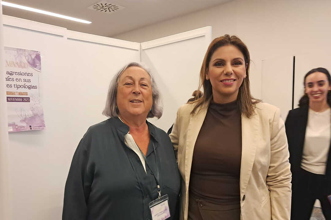 V SEMINARIO AGRESIONES SEXUALES