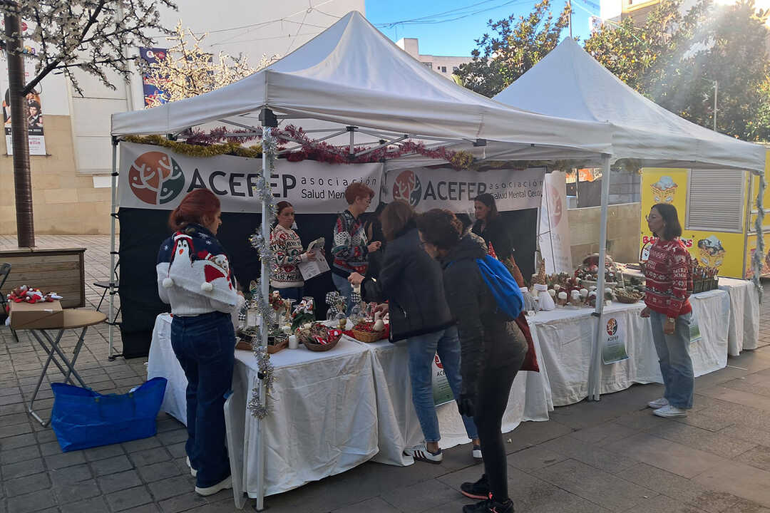 Mercadillo solidario de ACEFEP en  Paseo del Revellín / César Martín
