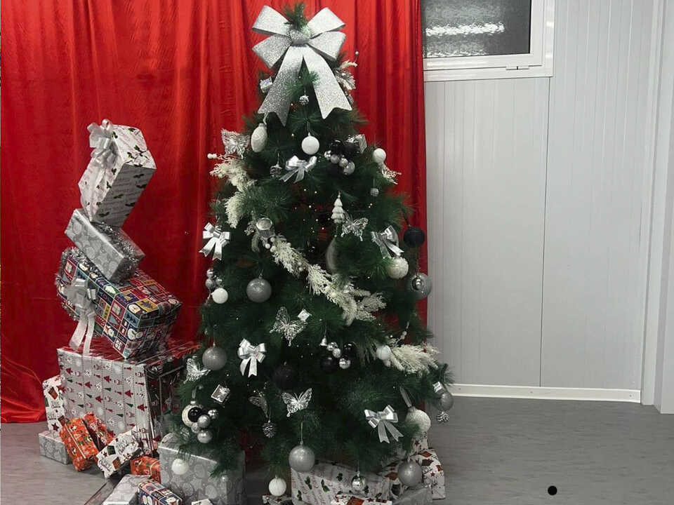 ARBOL 1 PREMIO