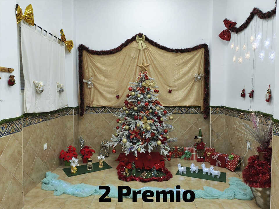 Segundo premio en el Concurso de Arboles de Navidad