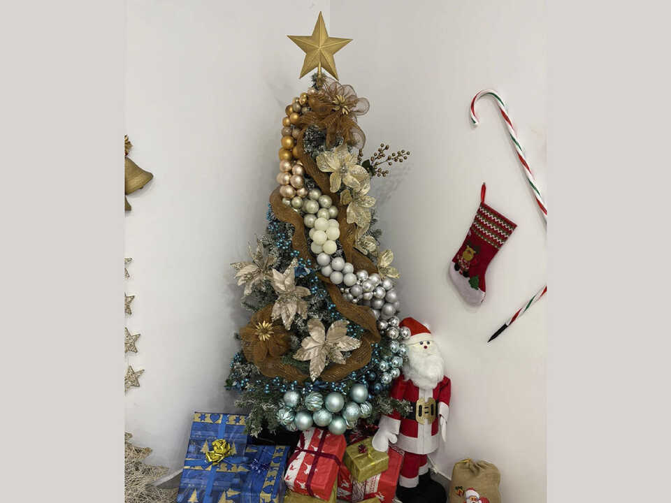 Tercer premio en el Concurso de Arboles de Navidad