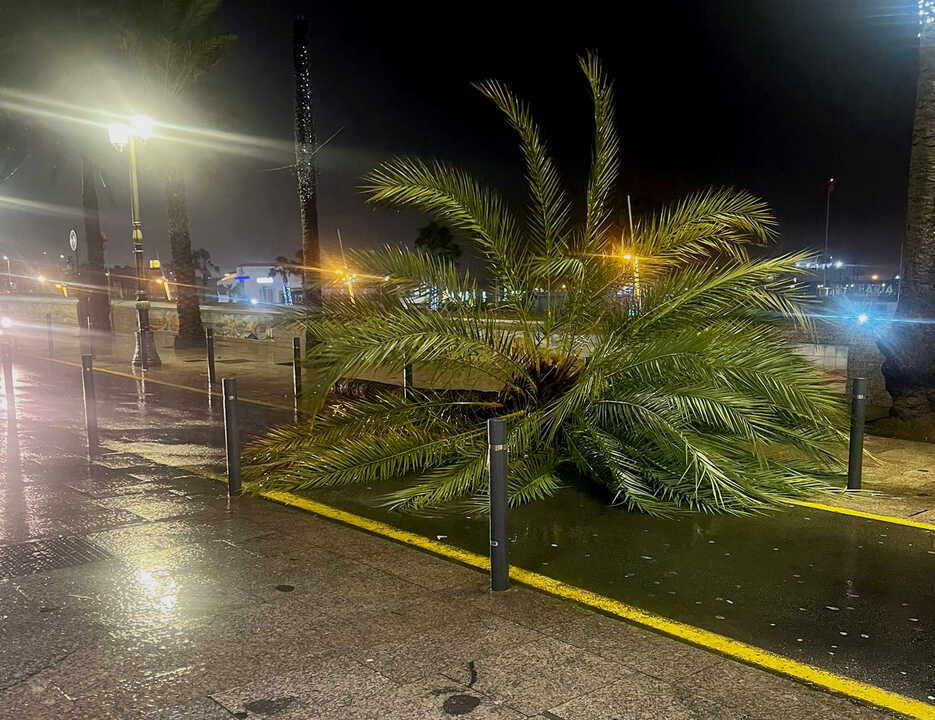 Efectos del fuerte temporal de lluvia y viento