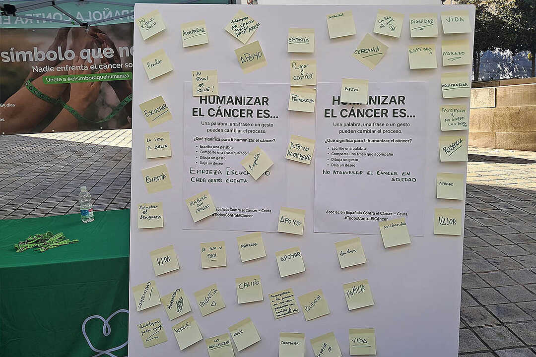 Humanizar el Cáncer / César María Martín Alcaide
