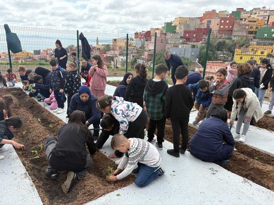 Huerto urbano 'La Esperanza' / Alma Palomino