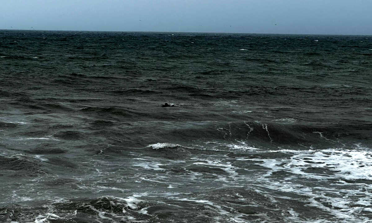 Entrada a nado esta misma mañana en la playa del Tarajal / Mohammed Ettouileb