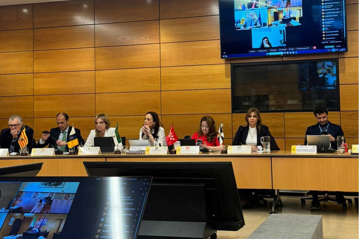 Pleno del Consejo Interterritorial del Sistema Nacional de Salud