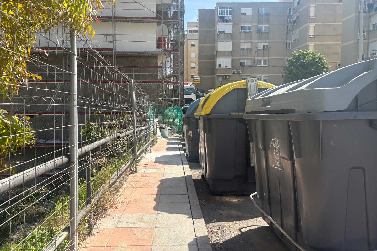 Ratas “del tamaño de gatos” siembran alarma en la barriada de La Libertad
