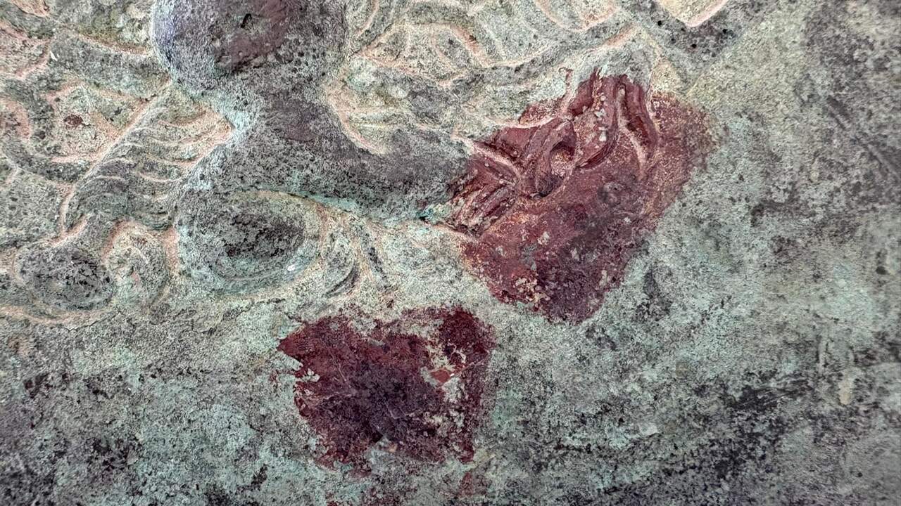 cañón_detalle_3